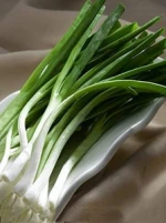 FRESH SCALLIONS / FRESH AND DRIED