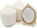 FRESH YOUNG COCONUT FOR SALE