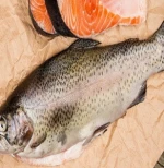 Frozen Norwegian Salmon Fish