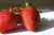Import Frozen Strawberry From Egypt Soft Sweets Fresh Delicious Strawberry Wholesale Natural Top Grade Sweet IQF Strawberry Low Price from Egypt