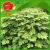 Import Frozen vegetables supplier cheap price for best Chinese fresh kudzu from China