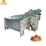 Fruit and Vegetable Washer