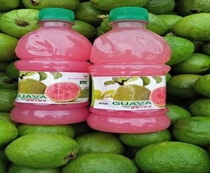Fruit Juice Guava Juice Drink