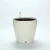 Import garden supplies plastic pot from China