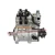 Import Genuine and New Diesel Fuel Injection 0il Pump 0445020062 D5010553948 For Dongfeng Renault from China