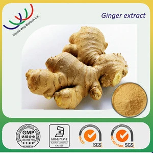 Ginger extract powder herbal extract China supplier,free sample ginger extract 6-gingerol