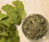 Ginkgo biloba L traditional medicinals  Ginkgo Leaf tea  for health