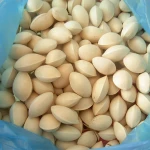 Ginkgo Nuts