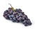 Import globe best quality grape top grade fresh red grape for sale/Fresh grapes from Philippines