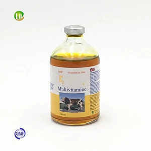 gmp manufacture medicine for camel enhance strength injection vitamin b6 b12