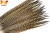 Import Gold Supplier from ZPDECOR Wholesale Stock Selected Top Quality 50-55 cm Natural Ringneck Pheasant Tail Feather from China
