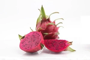 good price high quality pitaya extract/Dragon Fruit Extract powder