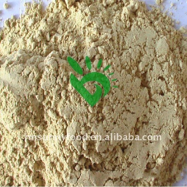 Good quality natural herbs and spices powder dried turmeric spices