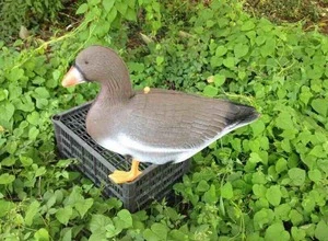 goose decoys high quality garden goose statue decoy spreads