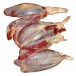 Grade AA Halal Buffalo Boneless Meat/ Frozen Beef Omasum/ Frozen Beef Tenderloins for sale