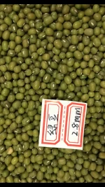 Green mung bean for 2.8mm-3.6mm