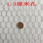 GuanDa Hexagonal stucco iron Wire Mesh