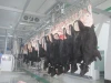 Halal cattle slaughter agricultural equipment cattle slaughter hook automation equipment