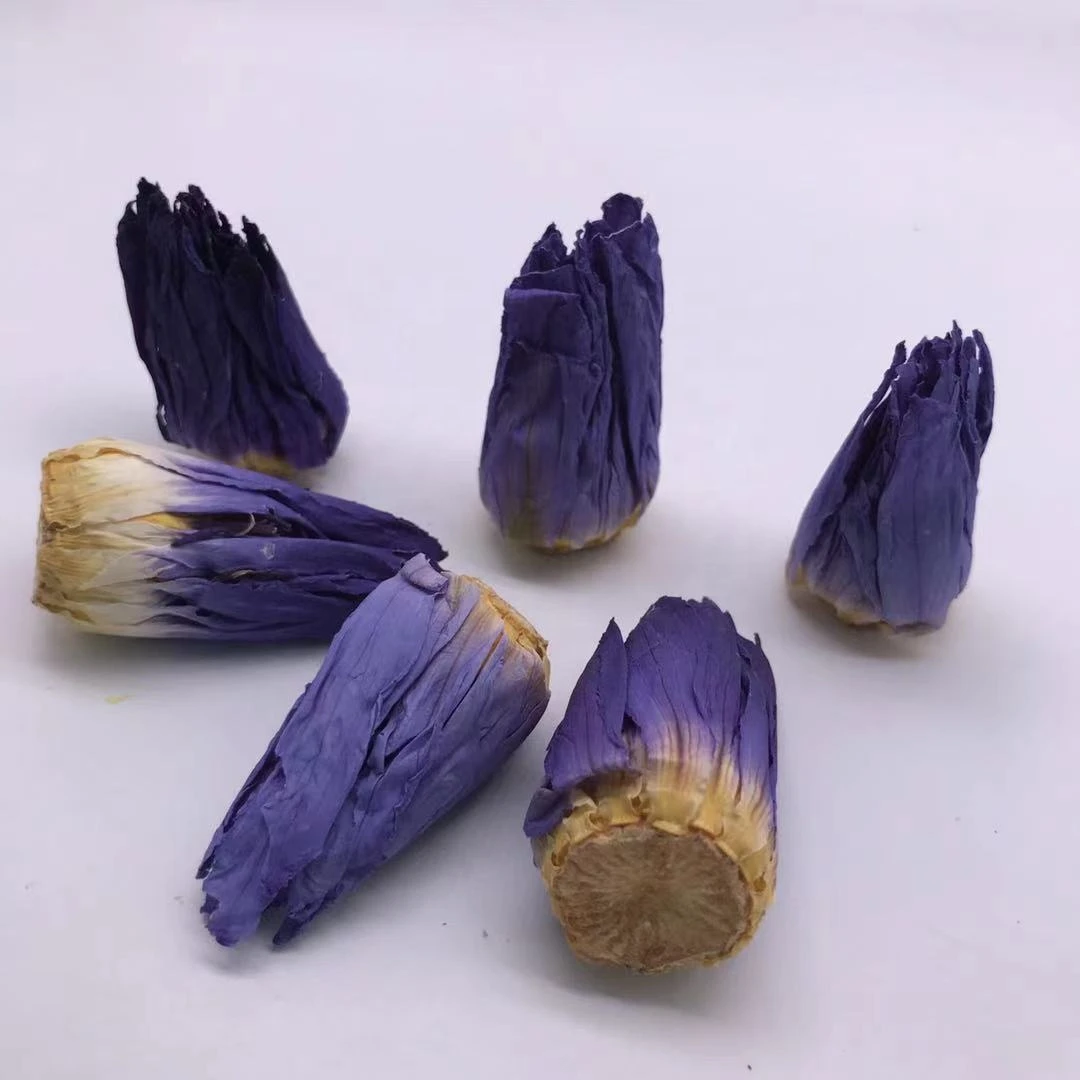 HCV4009 Lan lian hua Wholesale Natural Close Vacumn Dried Blue Lotus Flower Tea blue lotus bulk