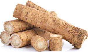 Healthcare Powdered Herbal Extract Burdock Root Extract Powder With 40% Arctiin