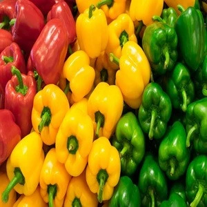 Healthy fresh chilli pepper FOR SALE