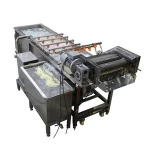 High Efficiency Vegetable Washer Fruit Washing Machine