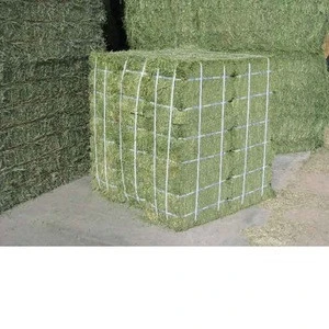 High Quality Alfalfa Hay,Timothy Hay, Lucerne Hay and Bermuda Hay for Sale