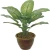 Import High quality artificial grass Zebra-Banyin plant bonsai & rubber bonsai plant make in Dongguan from China