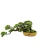 Import High quality Artificial Plante Welcome pine bonsai tree top sales Plants Decorative for Indoor Outdoor from China
