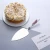 Import High quality cake knife set silver porcelain handle stainless steel pastry serves shovel cake server from China