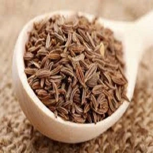 High quality Caraway seed for sell at good price.