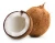 Import High Quality Fresh Coconut from VietNam from Vietnam