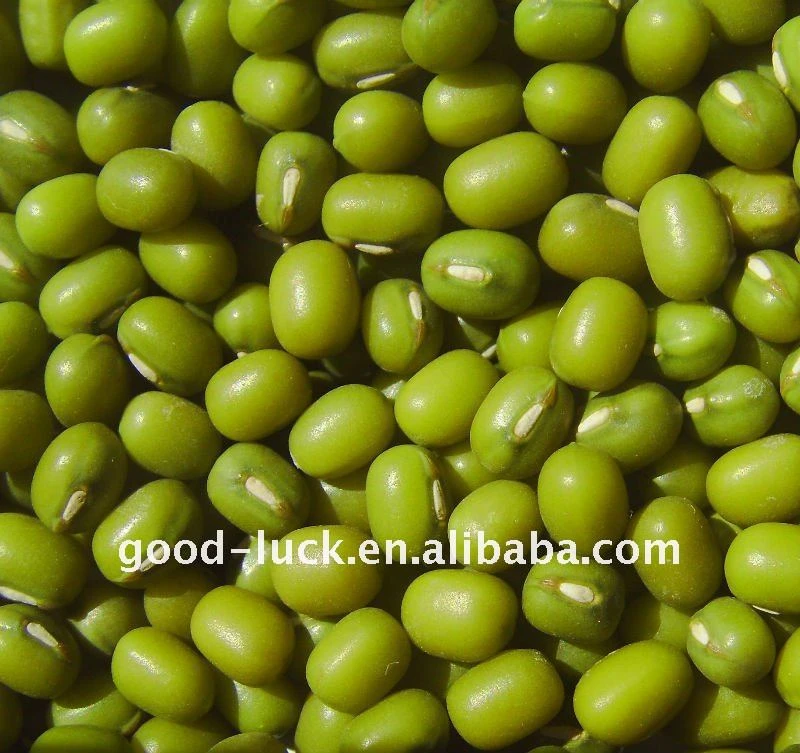 High quality green mung beans