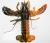 Import High quality live Lobster for sale / frozen Lobster from France