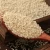 Import High Quality White Hulled Sesame Seeds from China