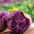 Import High quantity for exports calming for stomach sweet potato purple  from China from China