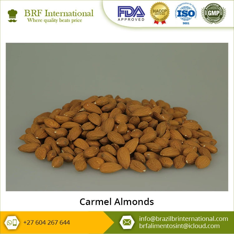 Highly Demanded Best Price Carmel Almonds