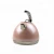 Import Home appliance 1.8L hot water boiler electric kettle from China