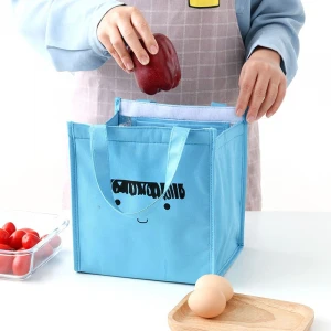 Hook&amp;Loop Thermal Lunch Bag Women Portable Tote Insulated Cooler Bags For Boy Girl Kids Cartoon Beach Food Picnic Bags