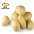 Import [HOT ] Linyi Changhong Fresh Potatoes/ Potato from China