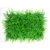 Import Hot sale Boxwood hedge plane vertical green plant wall artificial boxwood hedge green backdrop system vertical garden christmas from China