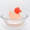 Hot Sale Colorful Color Changing Bath Rubber Duck