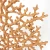 Import Hot sale Resin artificial coral tree decorative resin home decor from China
