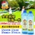 Import Hot summer plastic soap bubble game water bubbles toy-10ML from China