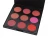 Import Hot Trending 9 Color High Pigment Blusher Vendor Blush Palette from China