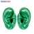 Import Human Ear Model Made of Silicon for Hearing Aid Display and Teaching Resources from China