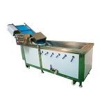 industrial water circulation bubble type fruit washing machine/ozone vegetable washer equipment