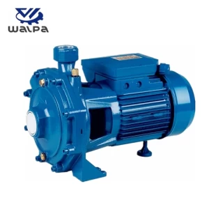 Irrigation Pump centrifugal water pump with double brass impellers