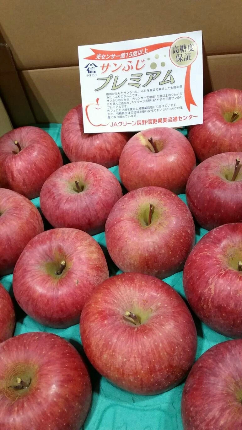 Japanese best hot sale sweet products fresh apple for wholesale