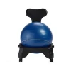 Keeps The Mind Focused Premium Exercise Stability Yoga Ball